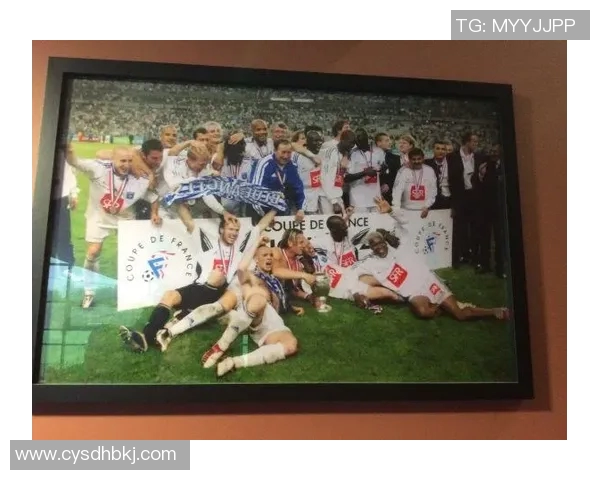 佳木斯足球明星阵容全景展示及个人成就回顾 佳木斯足球明星阵容全景展示及个人成就回顾