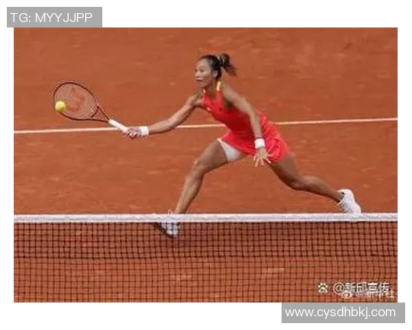 杭州网球队在奥运会中的耐力表现分析与评价