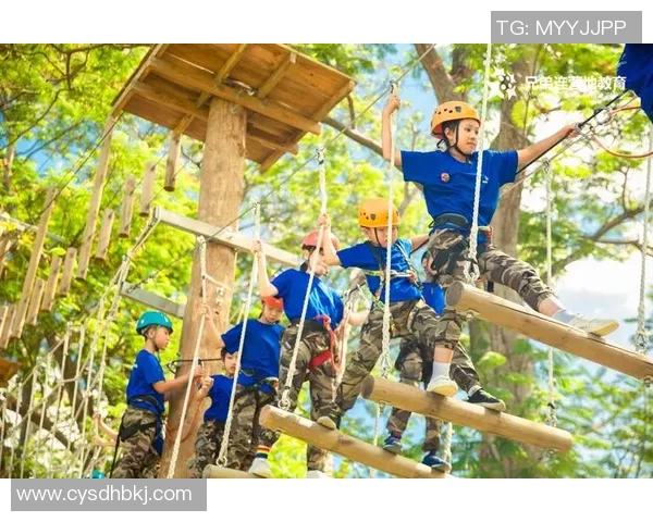 深圳篮球队加速转型探索新战术引发热议与期待