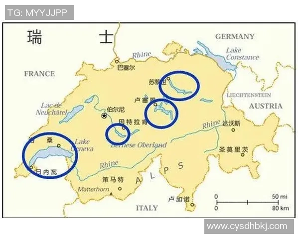 秘鲁足球明星的数量与影响力分析及其在国际舞台上的表现 秘鲁足球明星的数量与影响力分析及其在国际舞台上的表现