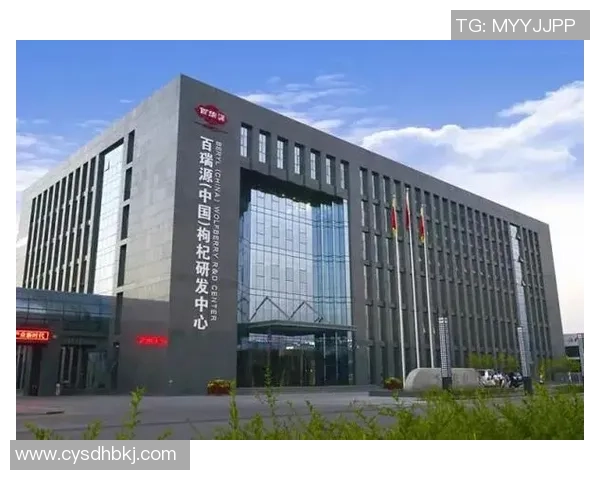 广州排球队转型之路揭秘大师赛特别报道展现新篇章