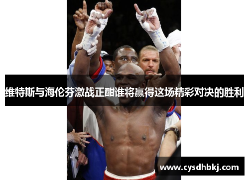 维特斯与海伦芬激战正酣谁将赢得这场精彩对决的胜利