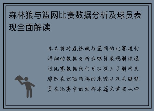 森林狼与篮网比赛数据分析及球员表现全面解读