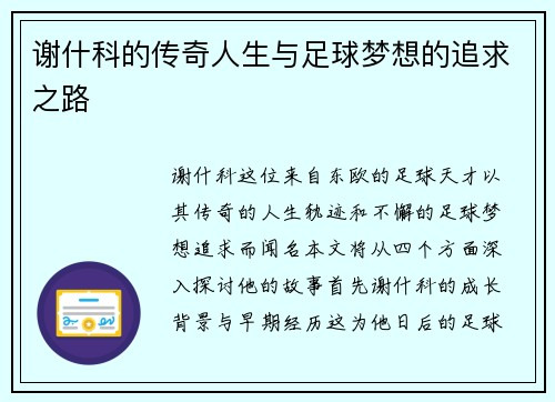 谢什科的传奇人生与足球梦想的追求之路